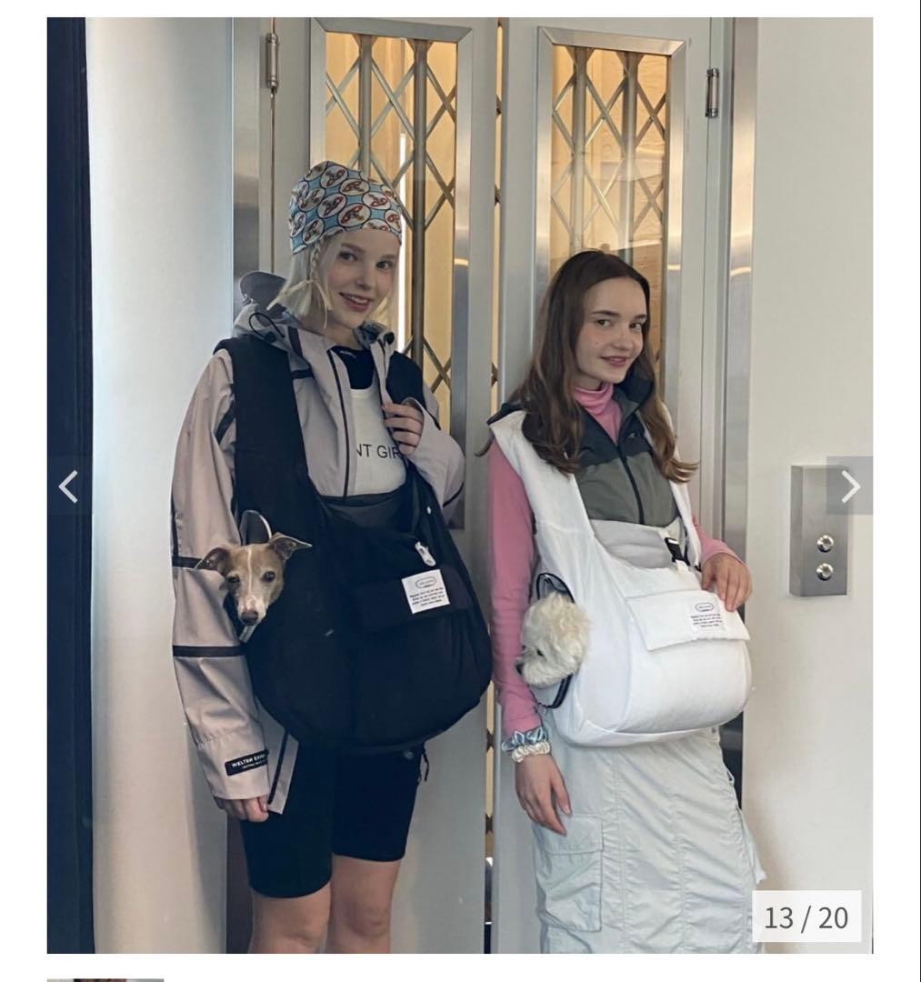 ペット用キャリーバッグ