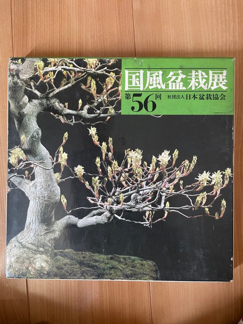 国風盆栽展 51-61 巻セット