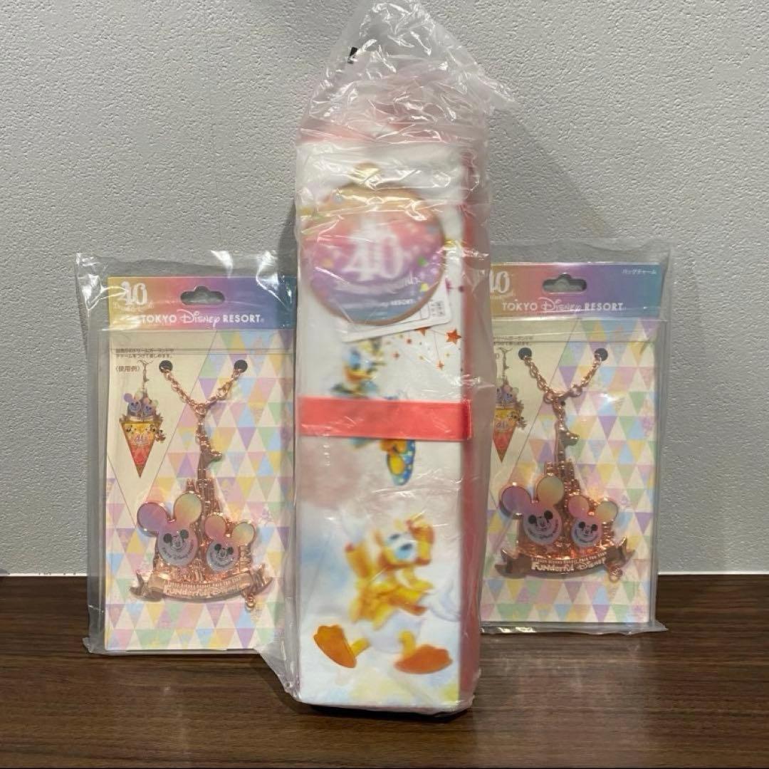 ディズニーランド40周年　ポータブルクッション、バックチャーム2個
