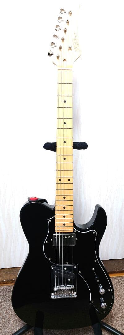 FUJIGEN FGN フジゲン テレキャスター ギター