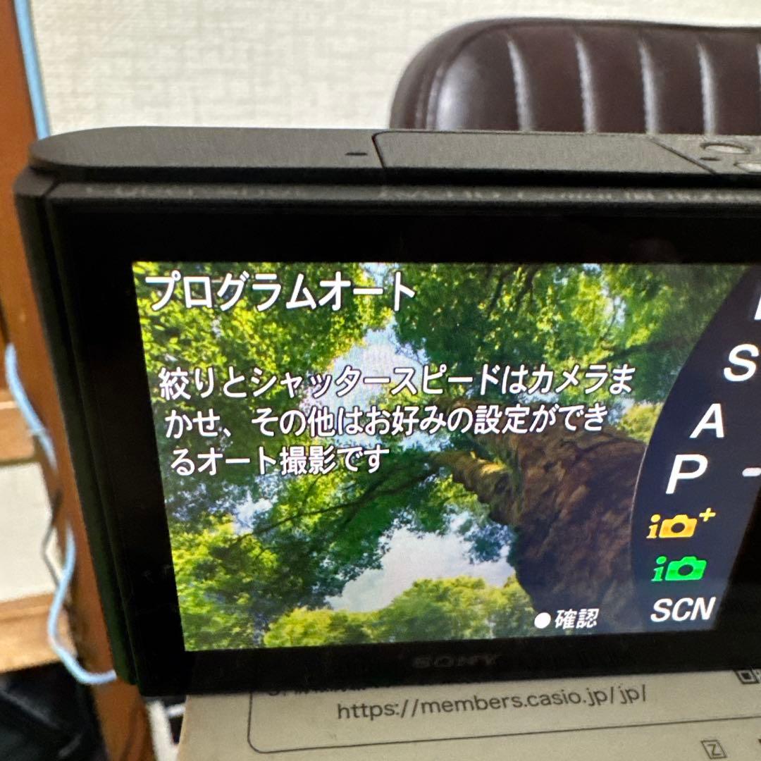 デジタルカメラ SONY Cyber-shot DSC-WX500