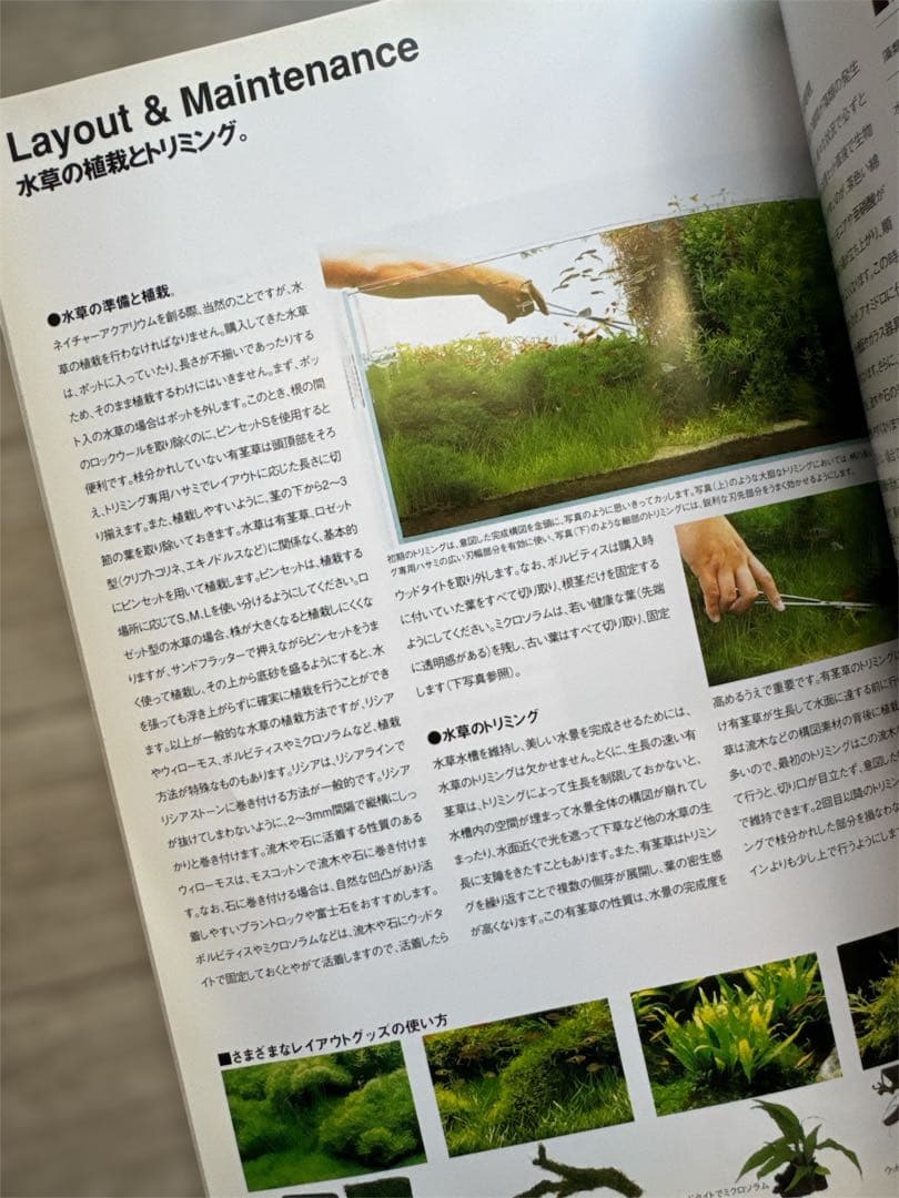 1999年 The Book Of ADA アクアリウム・水草・水槽書籍