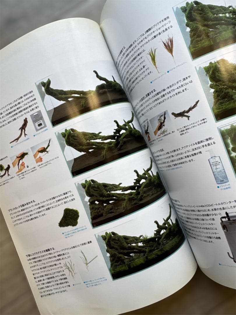 1999年 The Book Of ADA アクアリウム・水草・水槽書籍