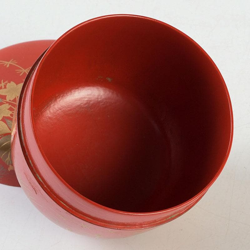 茶道具　佐々木麗峰作　鵬雲斎好写　一閑塗　春草蒔絵　棗　共箱　V　9633