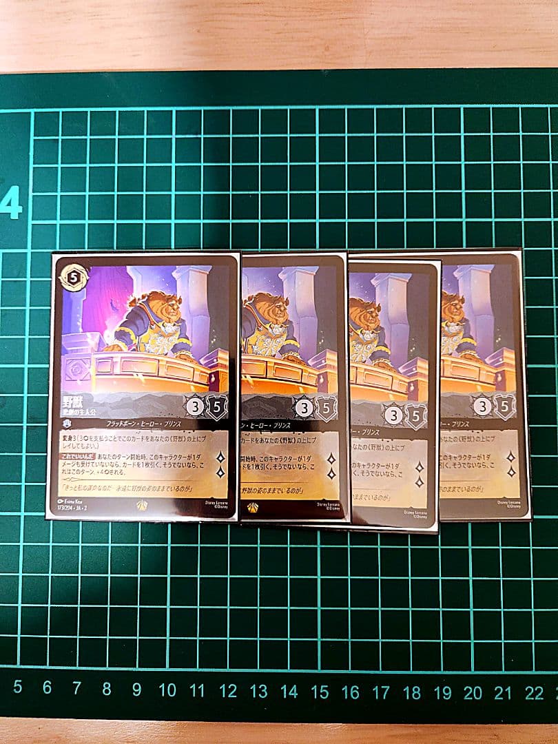 ロルカナ　野獣　４枚セット