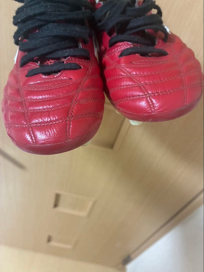 ✨希少✨モレリアネオ初代