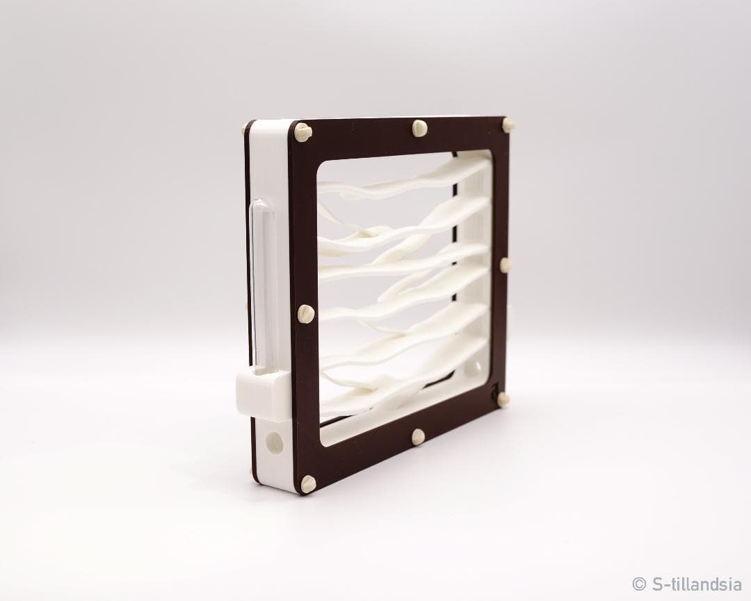 Hybrid Nest 2 side large ・ガラスアリ飼育ケース