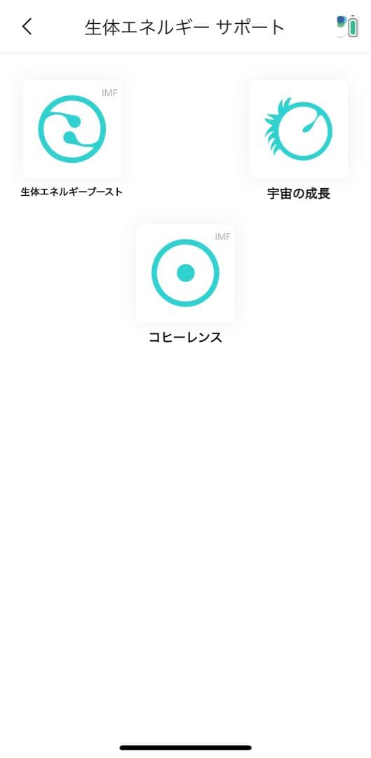 ヒーリー healy 【中古】 程度良し