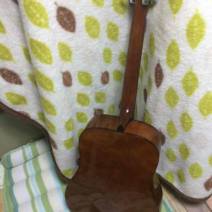 値下げしましたアコースティックギター PLAYTECH D4 ソフトケースセット