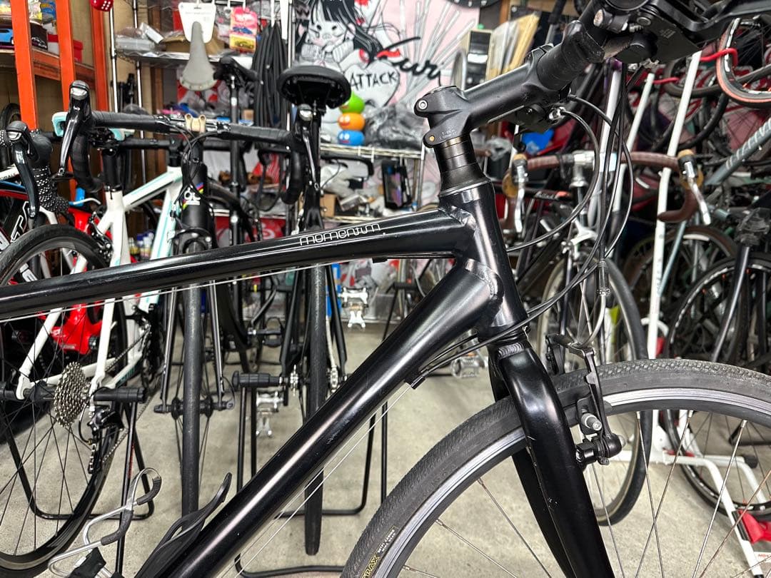 基本分解発送送料無料！完成車配送もご相談ください！momentum ineed