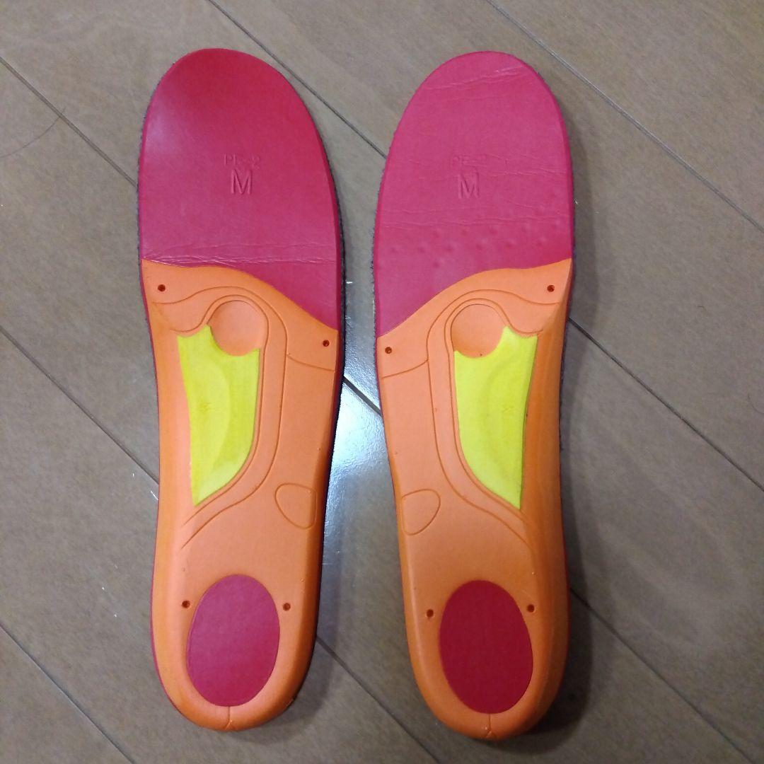 2024モデル ノルディカドーベルマン5MLC