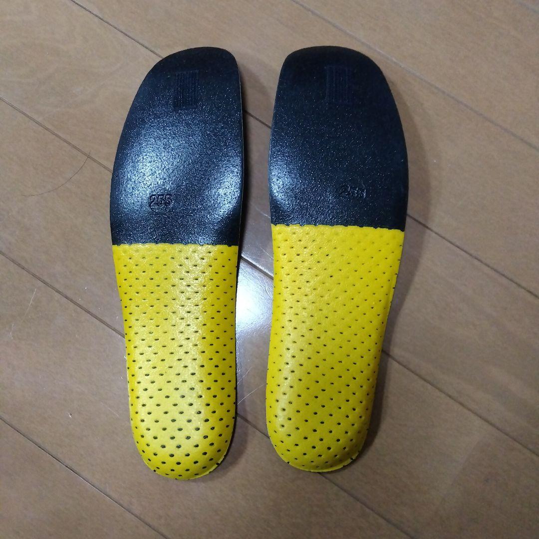 2024モデル ノルディカドーベルマン5MLC