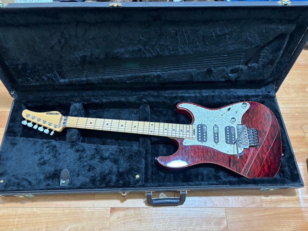 シェクター　ギター　EX-V-CTM-FRT