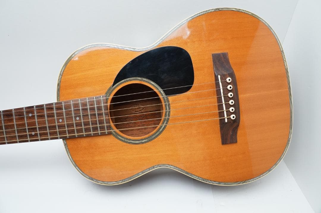 Aria AMW-2 ミニギター アコギ