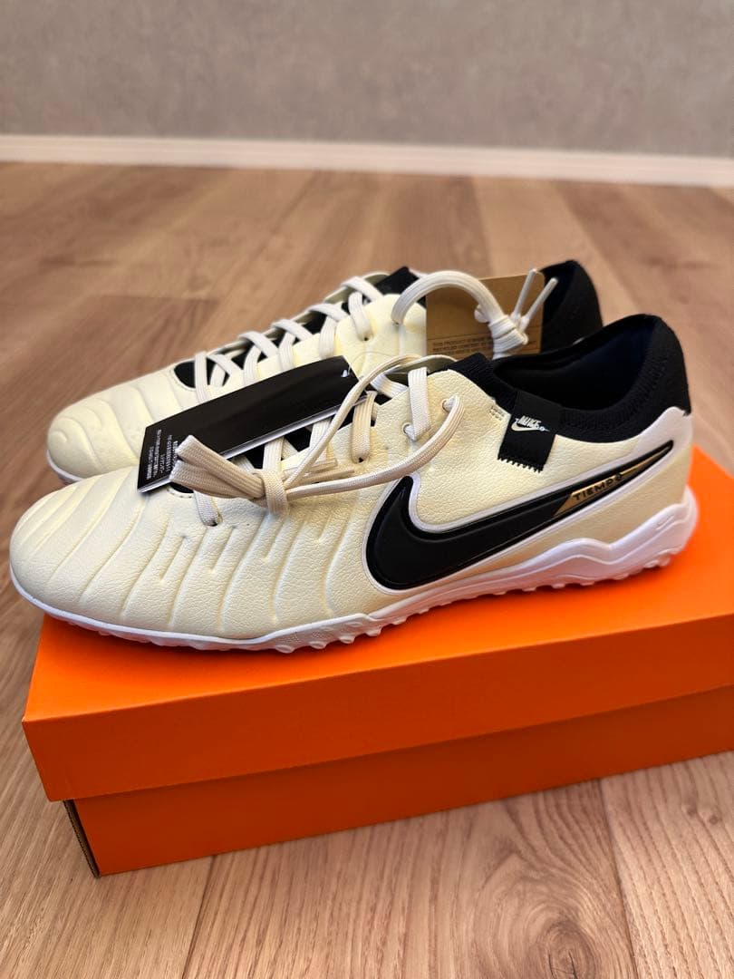 NIKE ティエンポ レジェンド 10 プロ TF