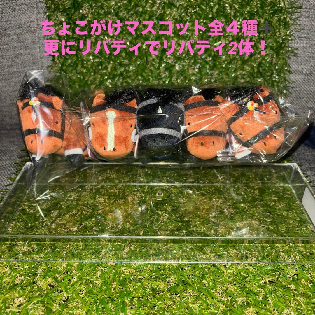 貴重‼️ラウンドワン限定サラコレちょこがけマスコットコンプセット➕リバティもう1体
