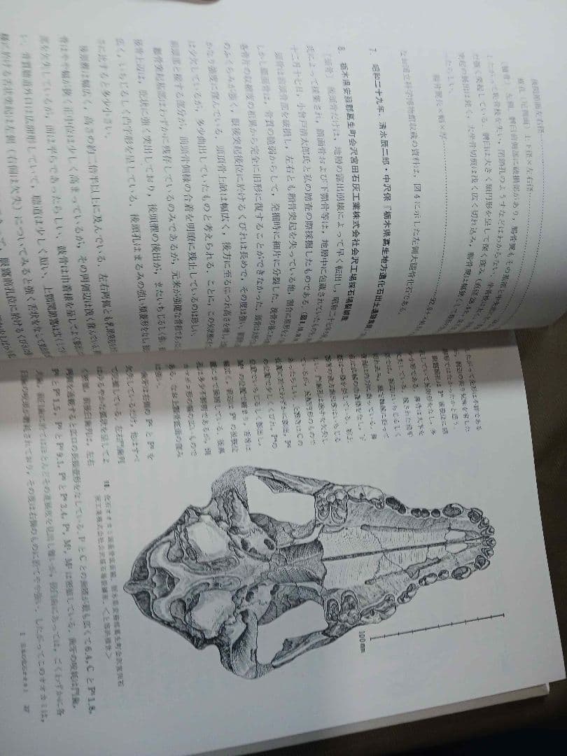 日本産狼の研究