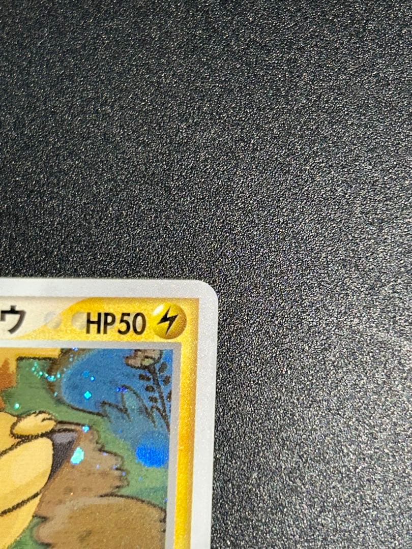 ポケパーク　フォレストシート