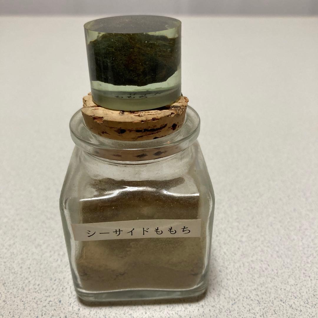 サマピ会場の石と砂