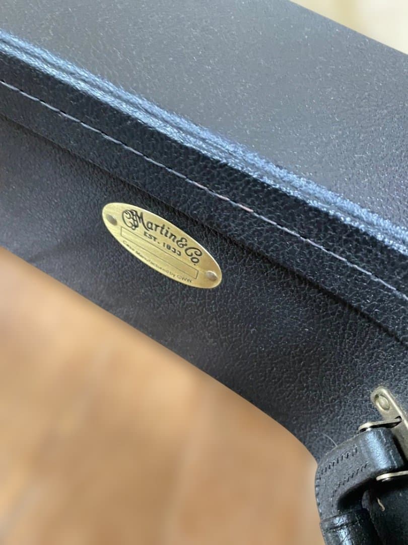 Martin & Co. D-16GT アコースティックギター