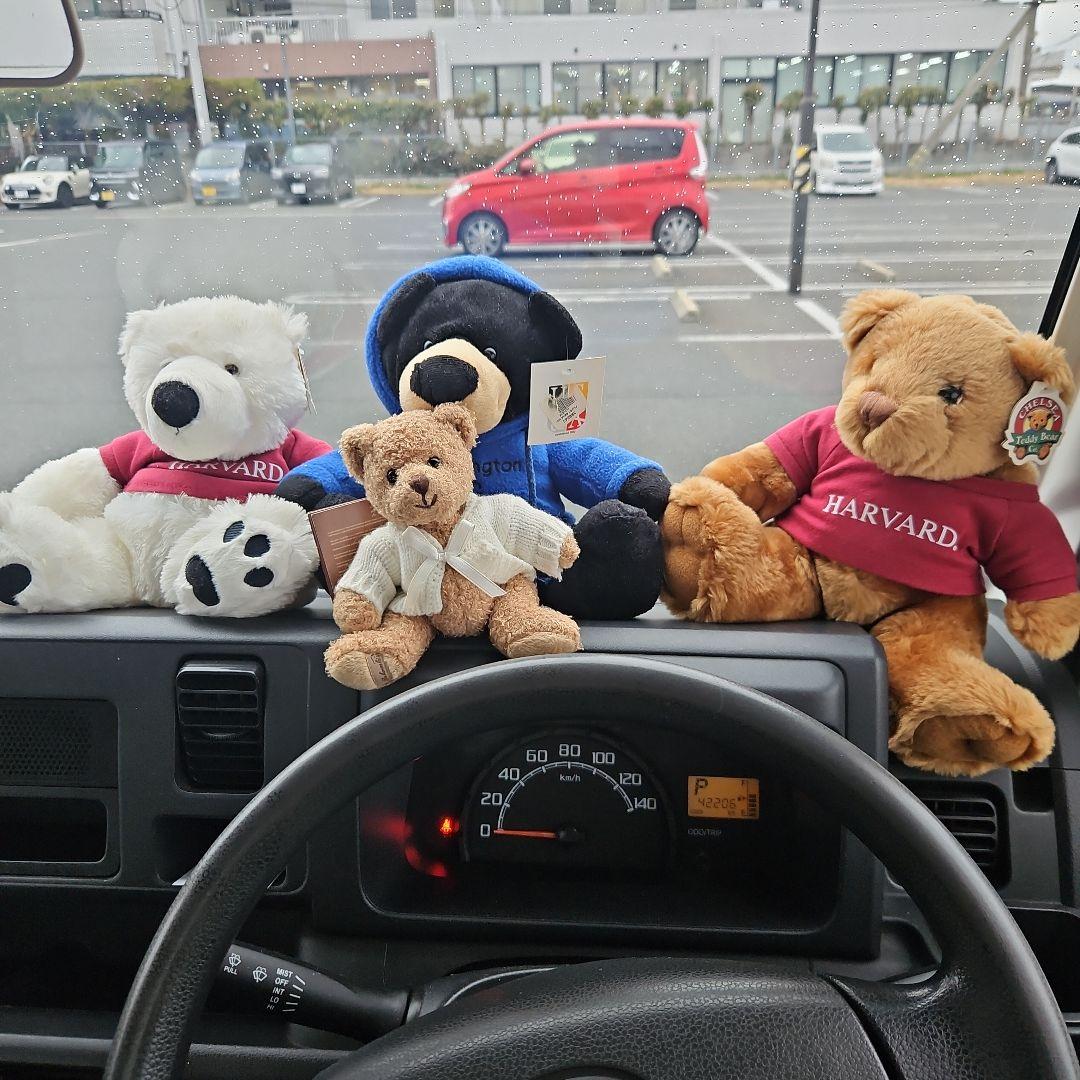 HARVARDロゴ付きクマのぬいぐるみ2体ブコウスキー1体黒クマ1体セット