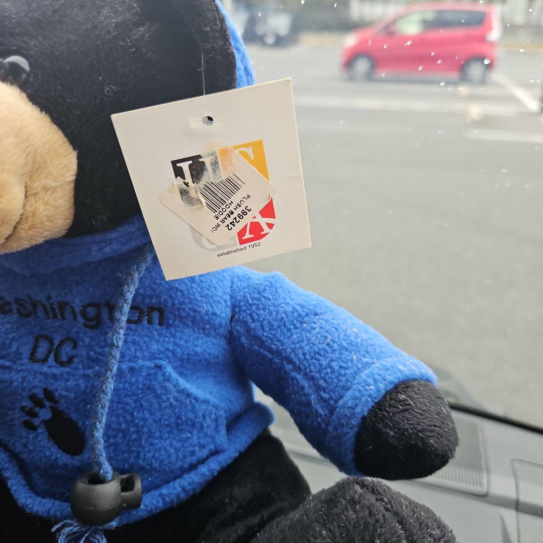 HARVARDロゴ付きクマのぬいぐるみ2体ブコウスキー1体黒クマ1体セット