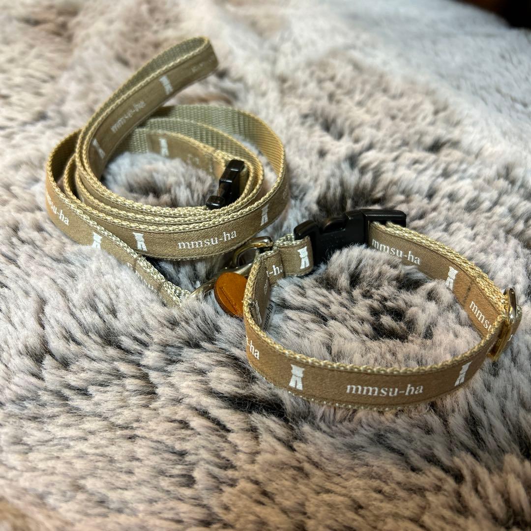 【ベティ】mmsu-ha エムエムスーハ ロゴ カラー リード セット