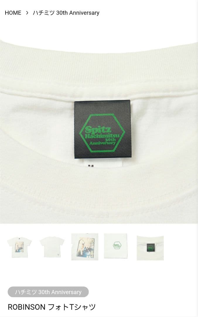 スピッツ ROBINSON フォトTシャツ(Mサイズ)