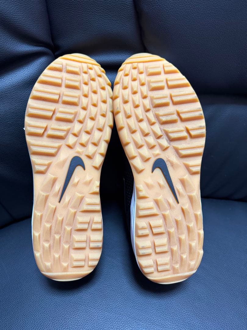 Nike ゴルフエアマックス 1 G ブラックアウトスウッシュ 日本未発売モデル