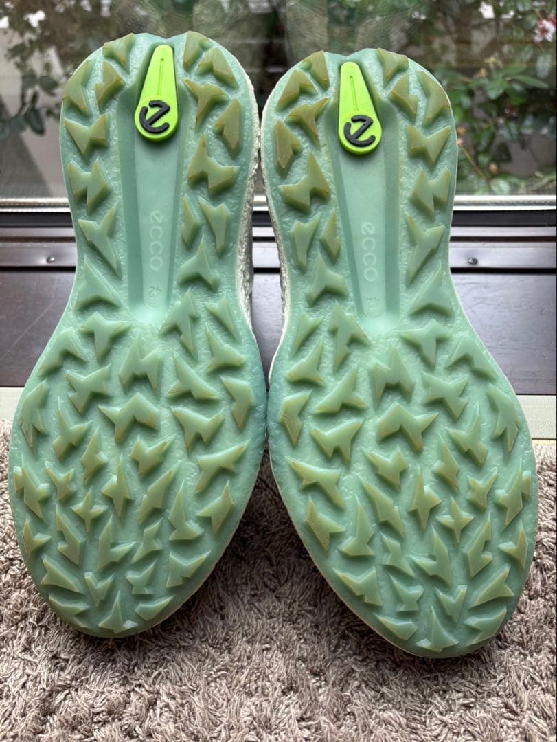 ECCO(エコー)Golf Biom H5 Hybrid