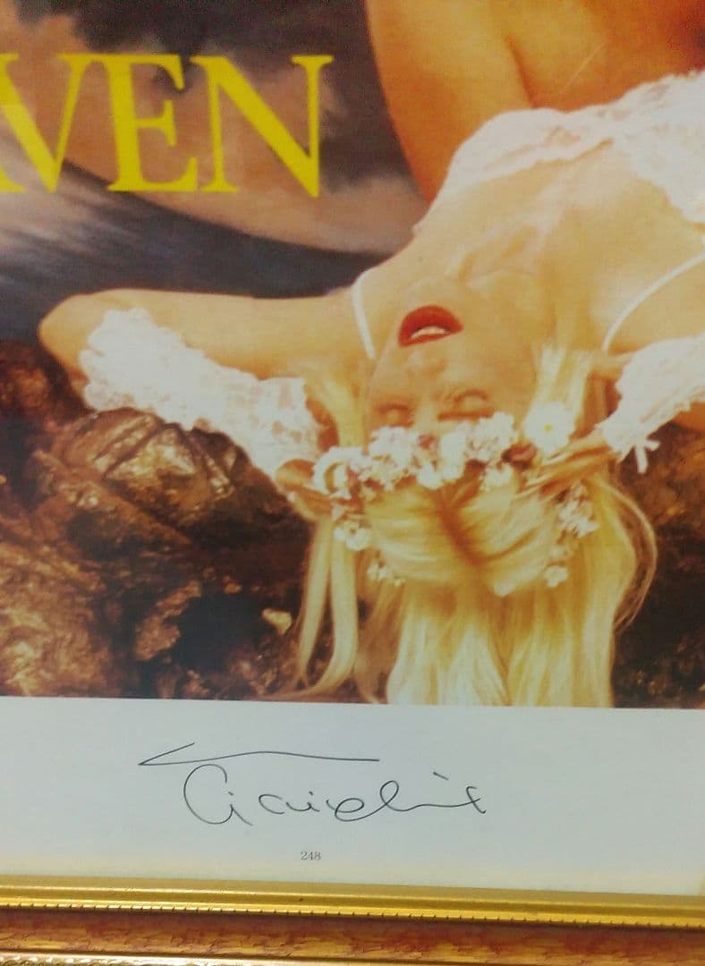 チチョリーナ　ジェフクーンズ　サイン　額無し　コレクター　コレクション