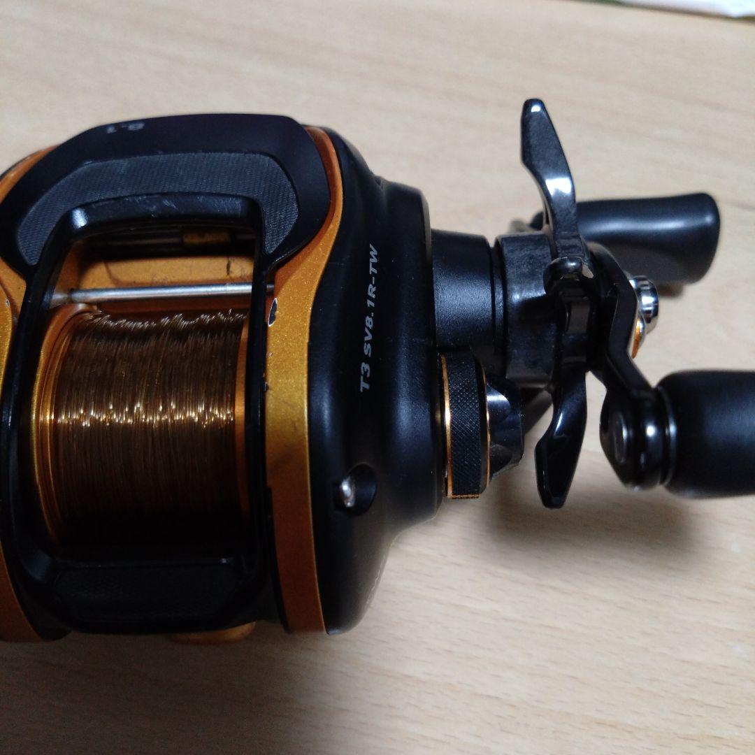 T3SV パカパカ正常