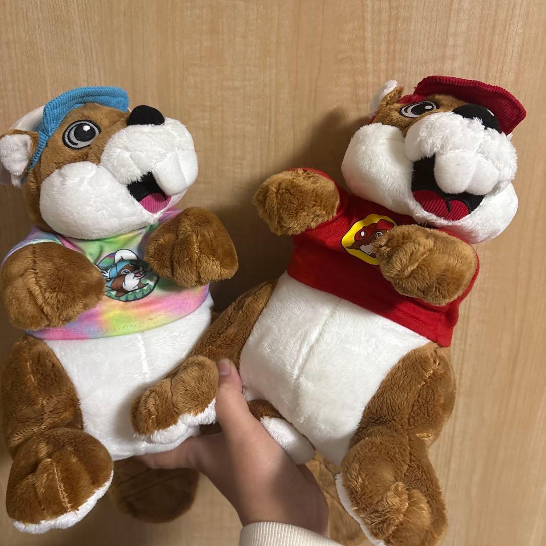 バッキーズ　アメリカ限定　アドバタイジング　日本未発売　アメトイ