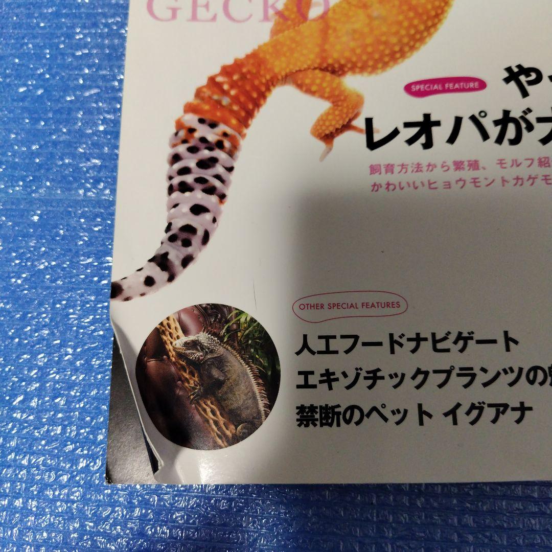 REP FAN レプファン REP FAN rep fan　19冊セット