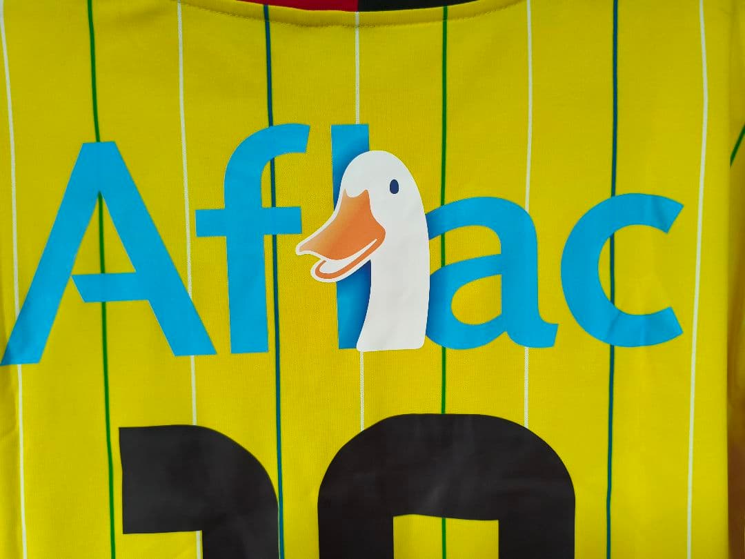 柏レイソル イエロー Leandro Domingues 10番