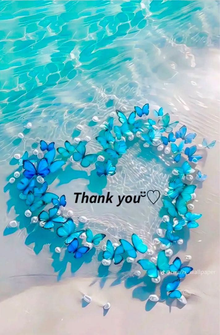 ❤️ maomao.sayumao.さま❤️