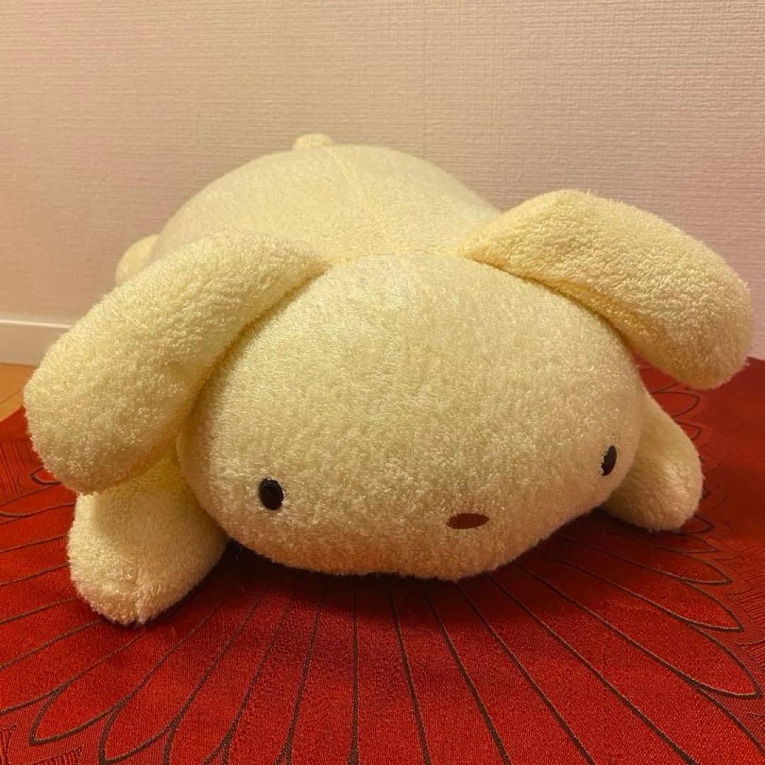 fricca フリッカ まつもと ましゅまろせらぴ うさぎ・ホワイトタイガー