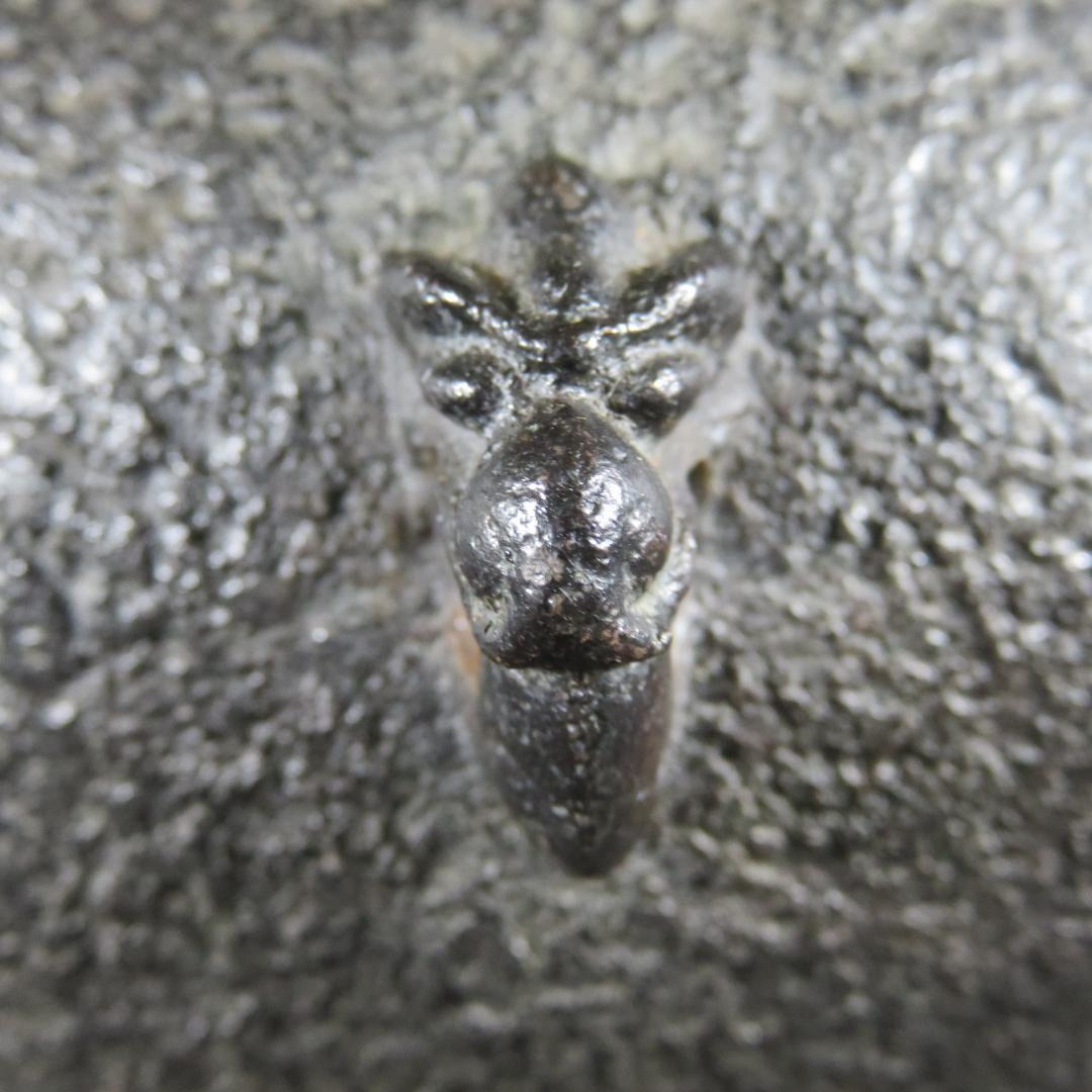 真形釜 茶釜 茶道具 京肌 錆 清光作 在銘 木箱 共箱