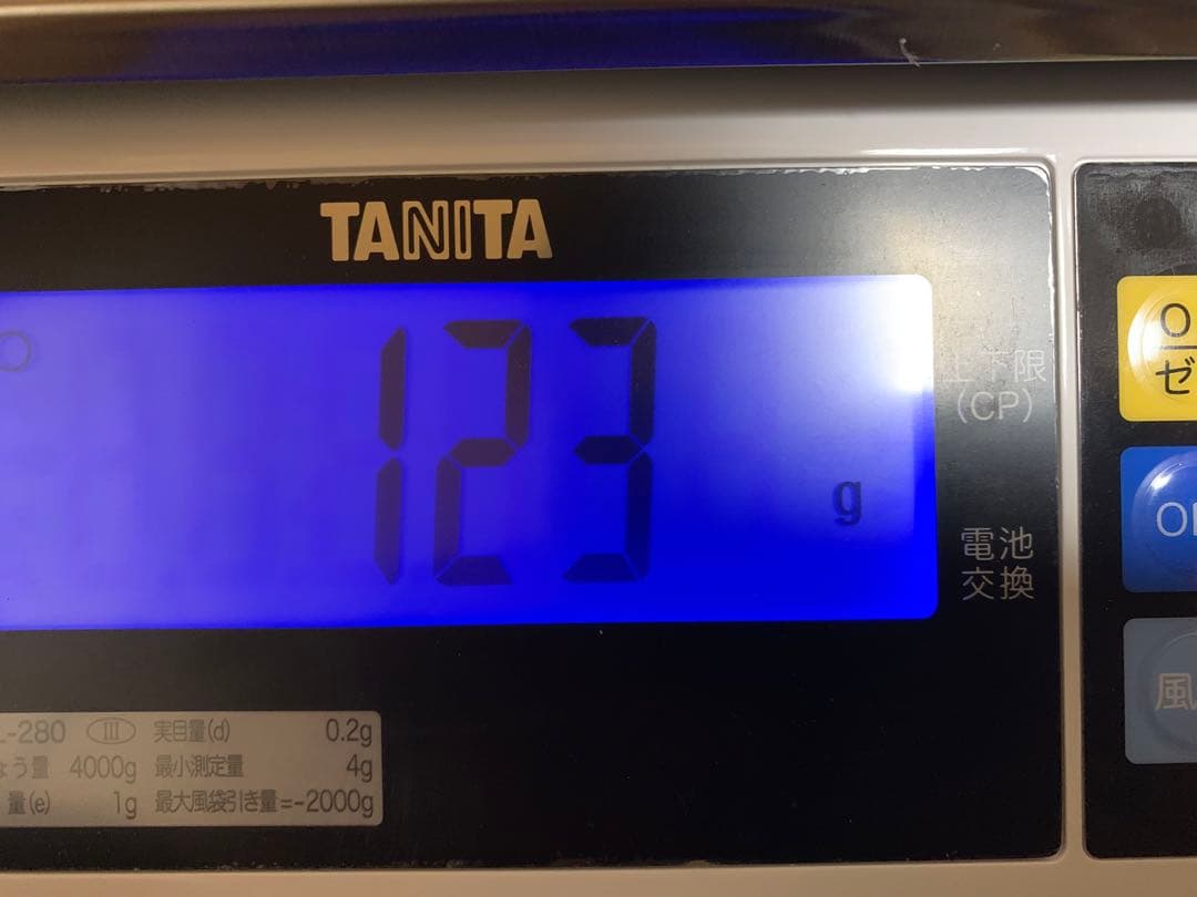 貴重Gibeon ギベオン隕石 123g メテオライト 鉄隕石 ナミビア  ④