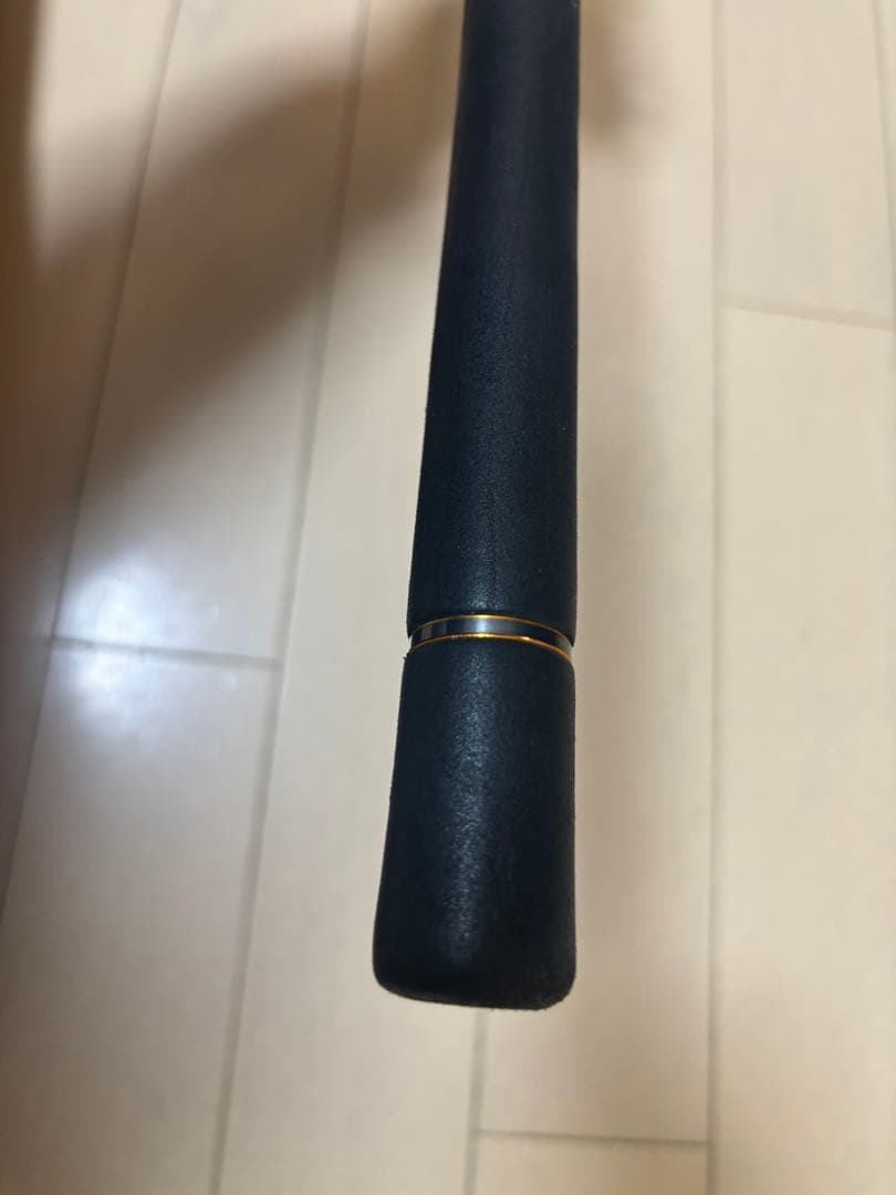 ダイワ モアザン ブランジーノ EX AGS 1010ML/M