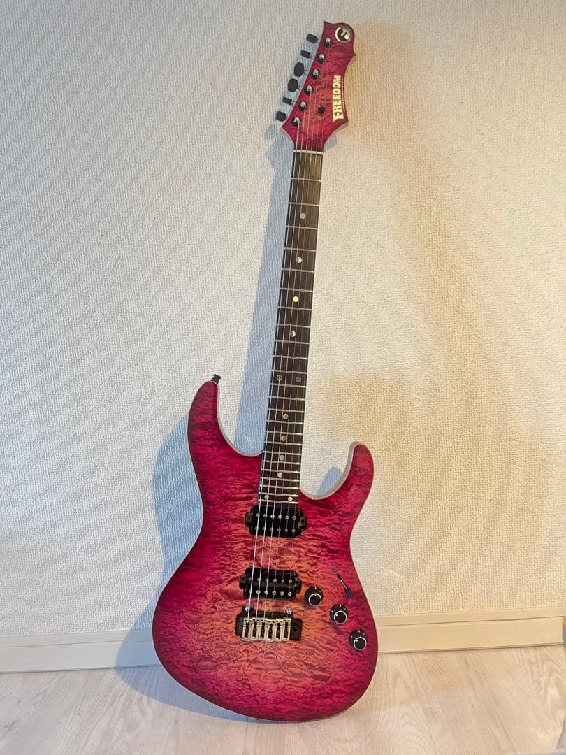 ギター FREEDOM CUSTOM GUITAR RESEARCH HYDRA 2P