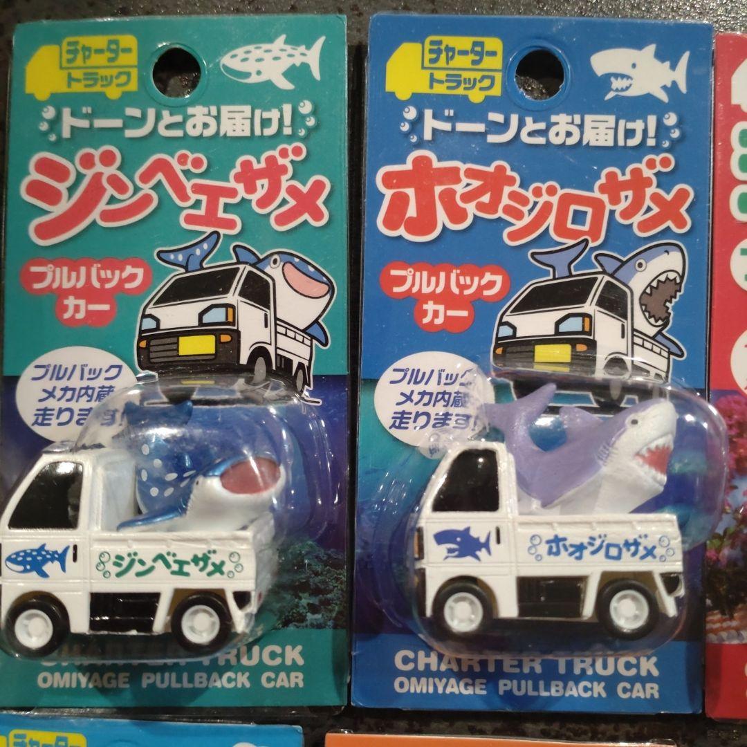 沖縄　シーサー　クマノミ　ジンベエザメ　イルカ　ホオジロザメ　プルバックカー