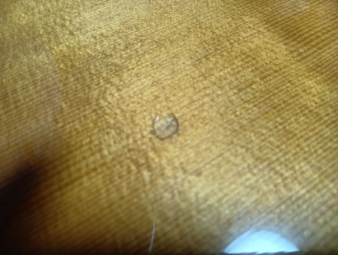 ギター Greg Bennett