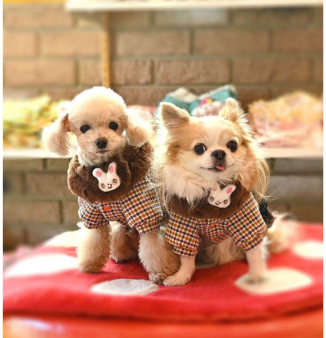 J＆Kanimals　ブラウンシュガーちゃんツィードジャケット　限定ジャケット