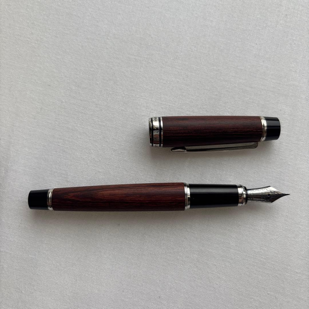 PILOT LEGNO 89s 万年筆 M 14K