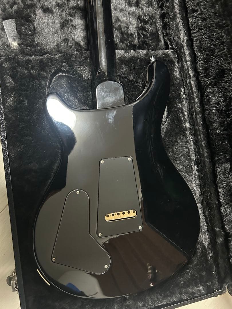 PRS custom22 DsKs