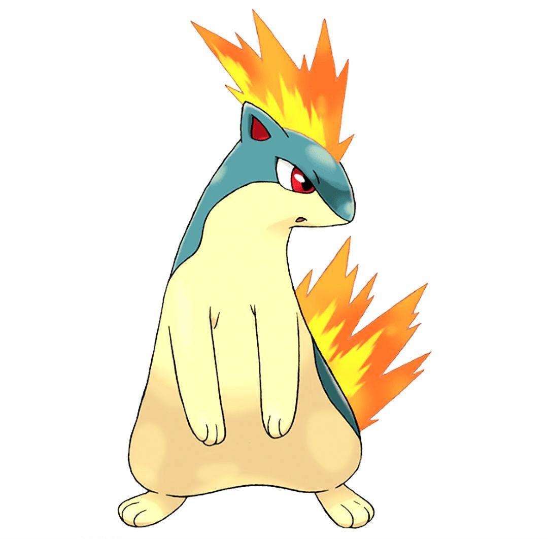 ■ポケットモンスター：モンスターコレクション▩ヒノアラシ・マグマラシ・バクフーン