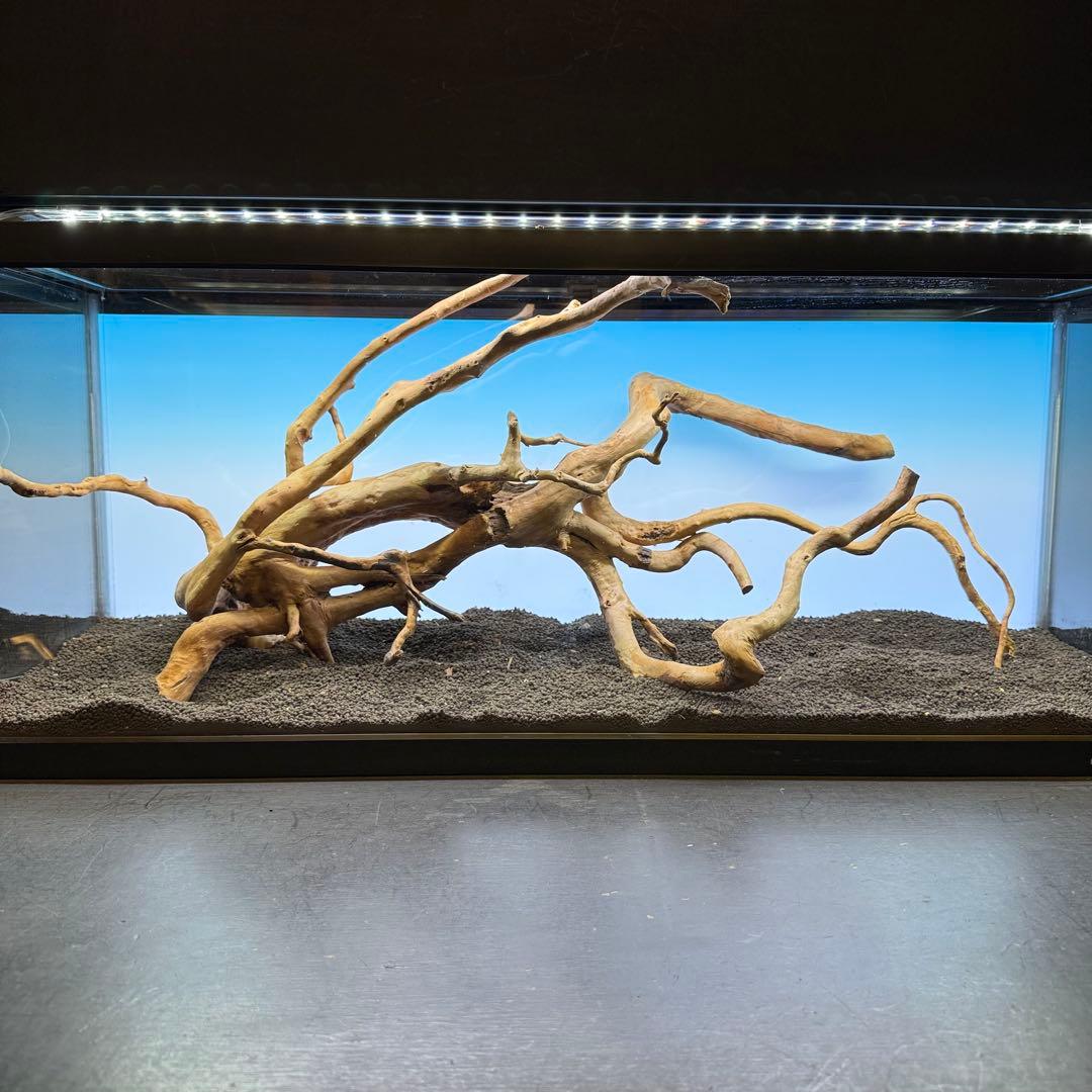 MDW-7104 ブランチウッド4本セット　流木セット　枝流木　アクアリウム