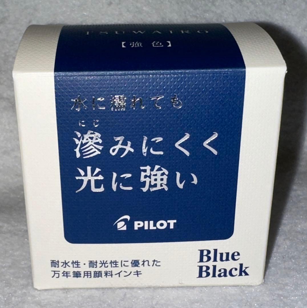 パイロット万年筆エリート95S 極細(EF)+付属品