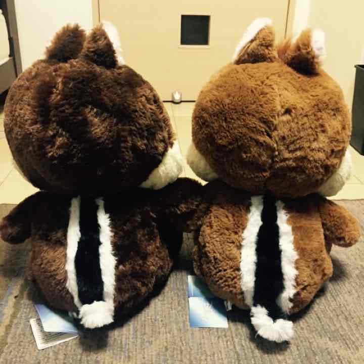 ディズニー限定 激レア 2点のみ